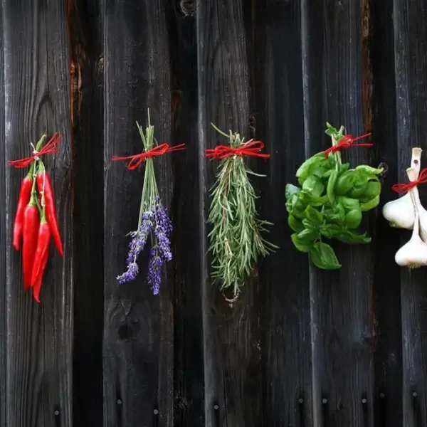 Hagetisse Wise Woman